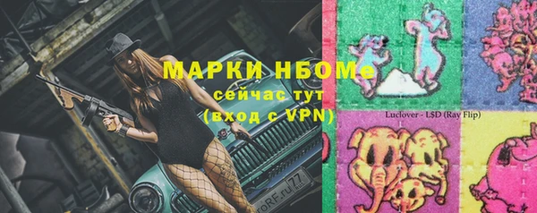 индика Краснотурьинск