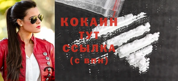 индика Краснотурьинск
