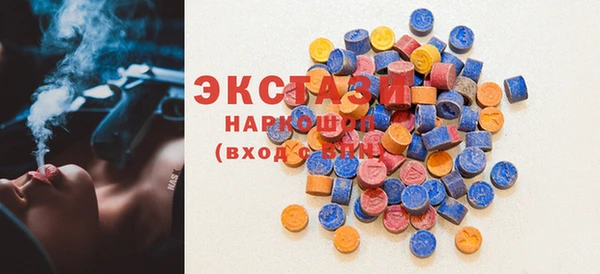 индика Краснотурьинск