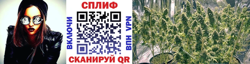 Бошки марихуана конопля Октябрьский